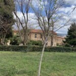 Γιώργος Κανελλόπουλος