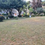 Περιβάλλοντας Χώρος Φαγητό και Περιβάλλοντας Χώρος