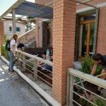 ΑΝΘΟΚΟΜΙΚΟΣ ΣΥΝΕΤΑΙΡΙΣΜΟΣ ΑΤΤΙΚΗΣ