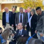 ΑΛΟΓΑΚΙΑ ΤΗΣ GENTLE CAROUSEL GREECE