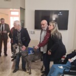 ΑΛΟΓΑΚΙΑ ΤΗΣ GENTLE CAROUSEL GREECE