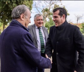 ΠΛΕΥΡΗΣ